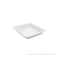 Rectangular Porcelain Food Plates